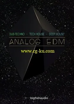 Big Fish Audio Analog EDM MULTiFORMAT的图片1