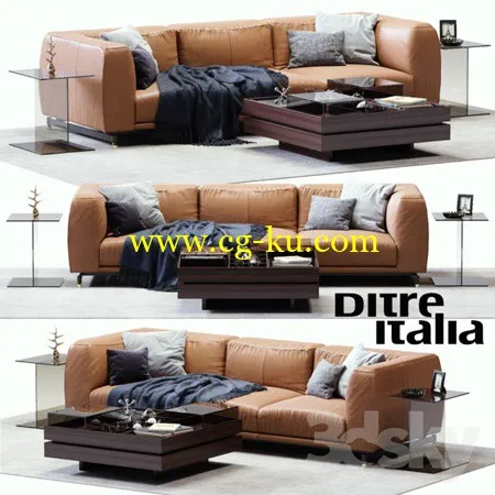 DITRE ITALIA St. Germain Leather Sofa的图片1