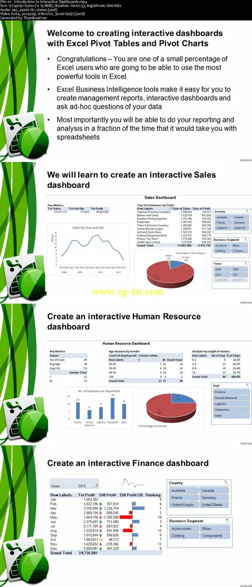 Interactive Dashboards with Excel Pivot Tables的图片2