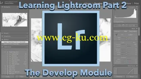 Learning Lightroom 2: The Develop Module的图片1