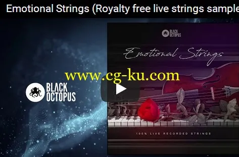 Black Octopus Sound Emotional Strings WAV-DISCOVER的图片2