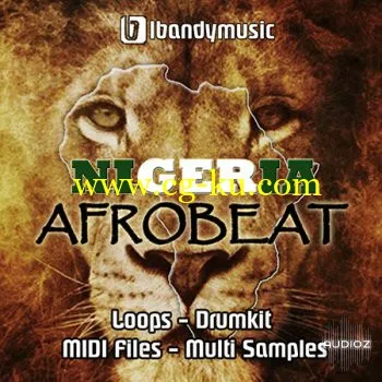 LBandyMusic Nigeria Afrobeat WAV MiDi AiFF Sylenth1 FLP的图片1