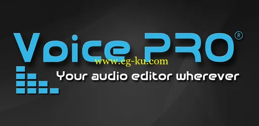 Voice PRO v3.1.2 Android的图片2