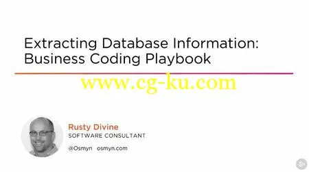 Extracting Database Information: Business Coding Playbook的图片1