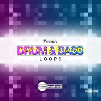 Premier Sound Bank Premier DnB Loops WAV的图片1