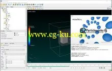 Prometech ParticleWorks 6.0 Win/Linux的图片2