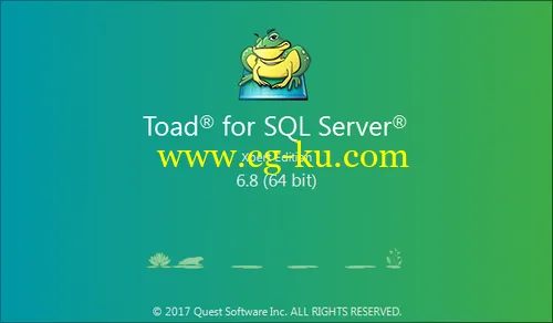 Toad for SQL Server 6.8.1 Xpert Edition的图片1