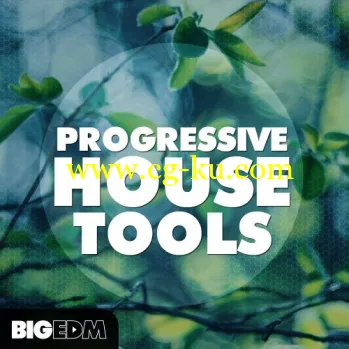 Big EDM Progressive House Tools WAV MiDi REVEAL SOUND SPiRE LENNAR DiGiTAL SYLENTH1 NATiVE iNSTRUMENTS MASSiVE-DISCOVER的图片1