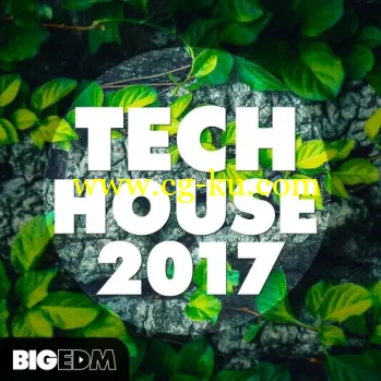 Big EDM Tech House 2017 WAV MiDi XFER RECORDS SERUM-DISCOVER的图片1