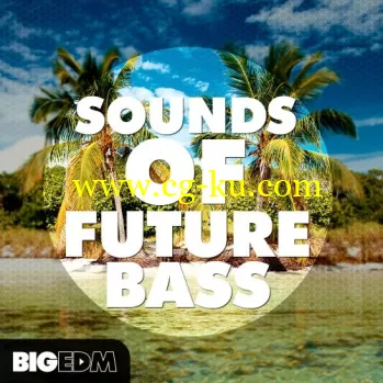 Big EDM Sounds Of Future Bass WAV MiDi XFER RECORDS SERUM LENNAR DiGiTAL SYLENTH1 REVEAL SOUND SPiRE NATiVE iNSTRUMENTS MASSiVE-DISCOVER的图片1