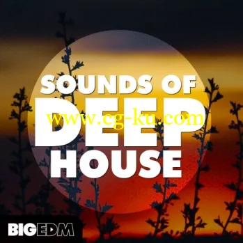 Big EDM Sounds Of Deep House WAV MiDi LENNAR DiGiTAL SYLENTH1 REVEAL SOUND SPiRE-DISCOVER的图片1