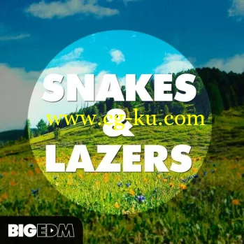 Big EDM Snakes And Lazers WAV MiDi XFER RECORDS SERUM-DISCOVER的图片1