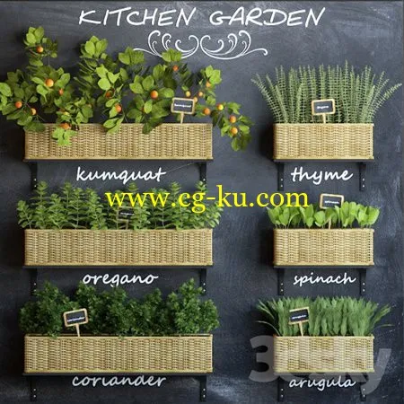 Kitchen garden 3的图片1