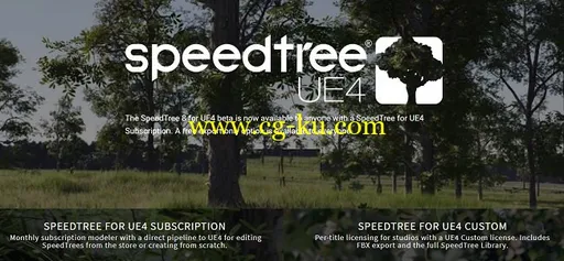 Speedtree Subscription 8 for UE4 Win的图片1