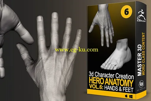 Cubebrush – Hero Anatomy En Vol.6 Hands and Feet的图片1