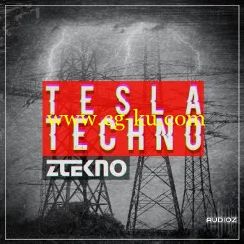 ZTEKNO Tesla TECHNO WAV MiDi LENNAR DiGiTAL SYLENTH1 KV331 SYNTHMASTER AVENGER的图片1