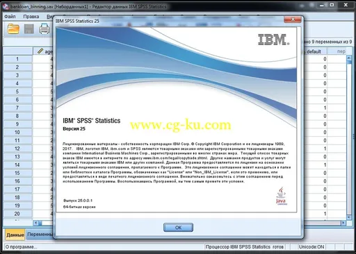 IBM SPSS Statistics 25.0 HF001 IF003的图片2