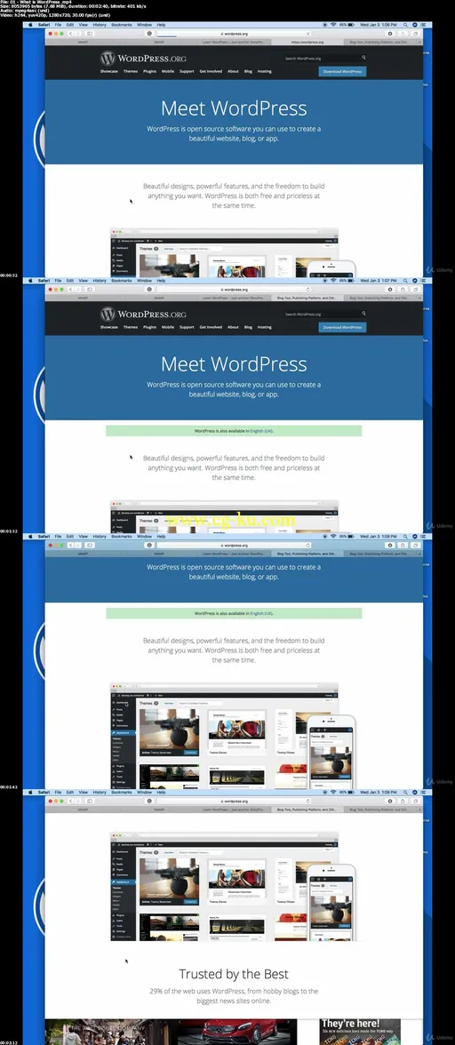 Complete WordPress Website Developer Course的图片3