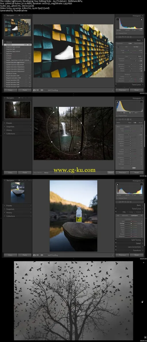 Adobe Photoshop Lightroom: Developing Your Editing Style的图片2