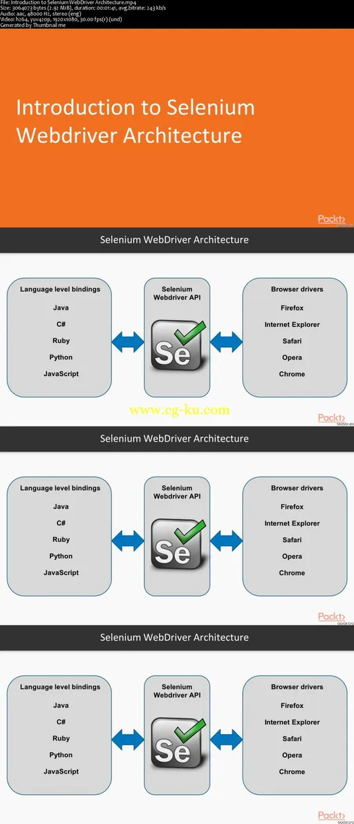 Dive into Core of Selenium Automation的图片2