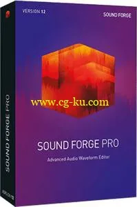 MAGIX Sound Forge Pro v12.0.29 WiN的图片1