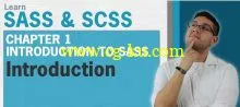 LearnToProgram – SASS & SCSS Tutorial的图片1