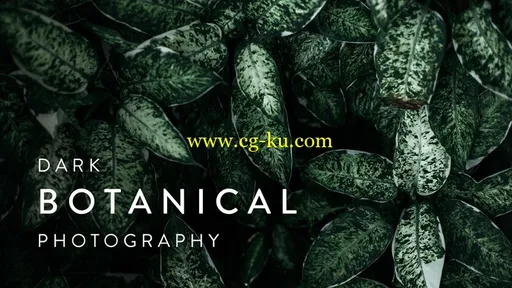 Dark Botanical Photography: Capture Beautifully Moody Images of Plants的图片1