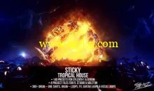 StiickzZ Sticky Tropical House WAV LENNAR DiGiTAL SYLENTH1 XFER RECORDS SERUM ABLETON LiVE FL STUDiO TEMPLATE-DISCOVER的图片1