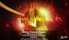 StiickzZ Sticky Future House WAV MiDi XFER RECORDS SERUM ABLETON LiVE FL STUDiO TEMPLATE-DISCOVER的图片1