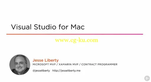 Visual Studio for Mac的图片2