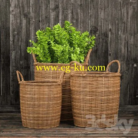 Basket with plants的图片1