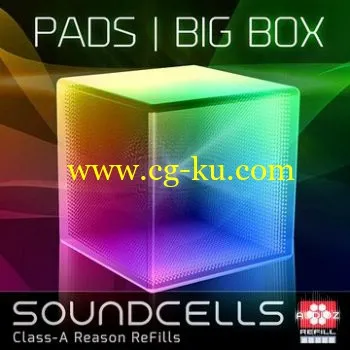 Soundcells Pads The BIG Box REASON REFiLL-DECiBEL的图片1