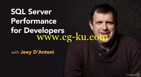 SQL Server Performance for Developers的图片1