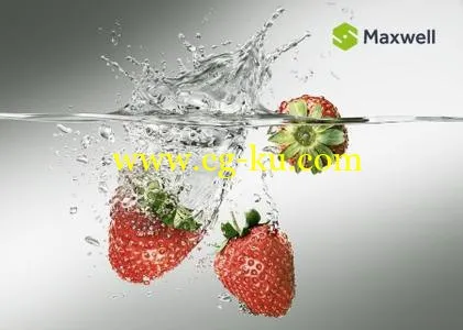 NextLimit Maxwell Render Studio 4.1.1.1 with Plugins的图片1