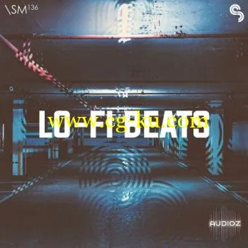 Sample Magic Lo-Fi Beats MULTiFORMAT的图片1