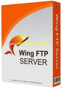 Wing FTP Server Corporate 5.0.9 Multilingual的图片1