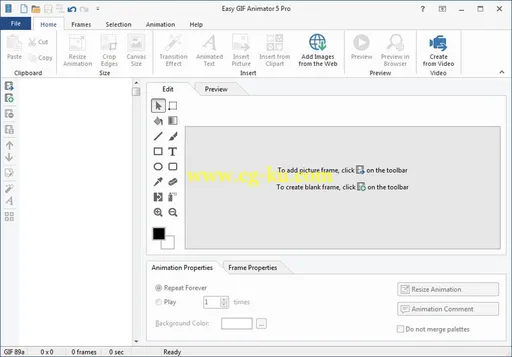 Blumentals Easy GIF Animator Pro / Personal 7.3.0.61 Multilingual的图片1