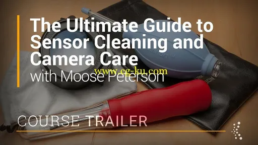 The Ultimate Guide to Sensor Cleaning and Camera Care的图片1