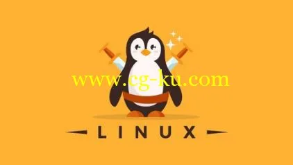 Linux Mastery: Master the Linux Command Line in 11.5 Hours的图片1