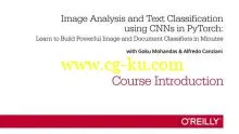 Image Analysis and Text Classification using CNNs in PyTorch的图片1