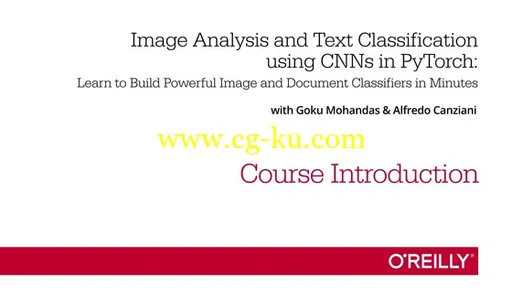 Image Analysis and Text Classification using CNNs in PyTorch的图片2