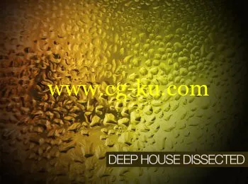 Groove3 Deep House Dissected TUTORiAL-SYNTHiC4TE的图片1