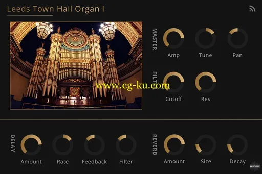 Noiiz Leeds Town Hall Organ FOR Noiiz Player的图片1