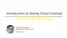 Introduction to Spring Cloud Contract的图片1