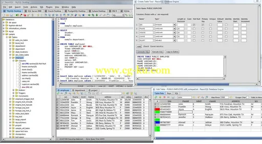 Richardson Software RazorSQL 8.0.0的图片1