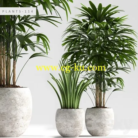 PLANTS 114的图片1