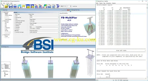 Bridge Software Institute FB-MultiPier 5.3的图片2