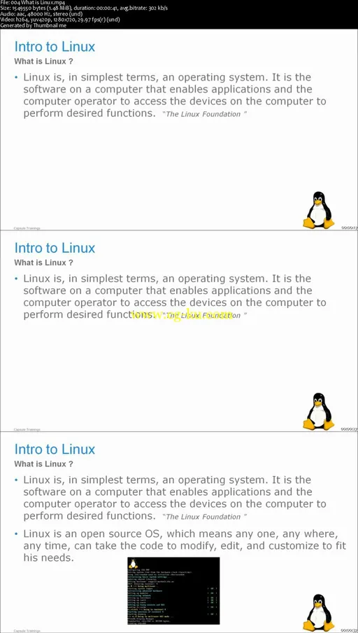 Linux Command Line Interface and BASH Scripting的图片2