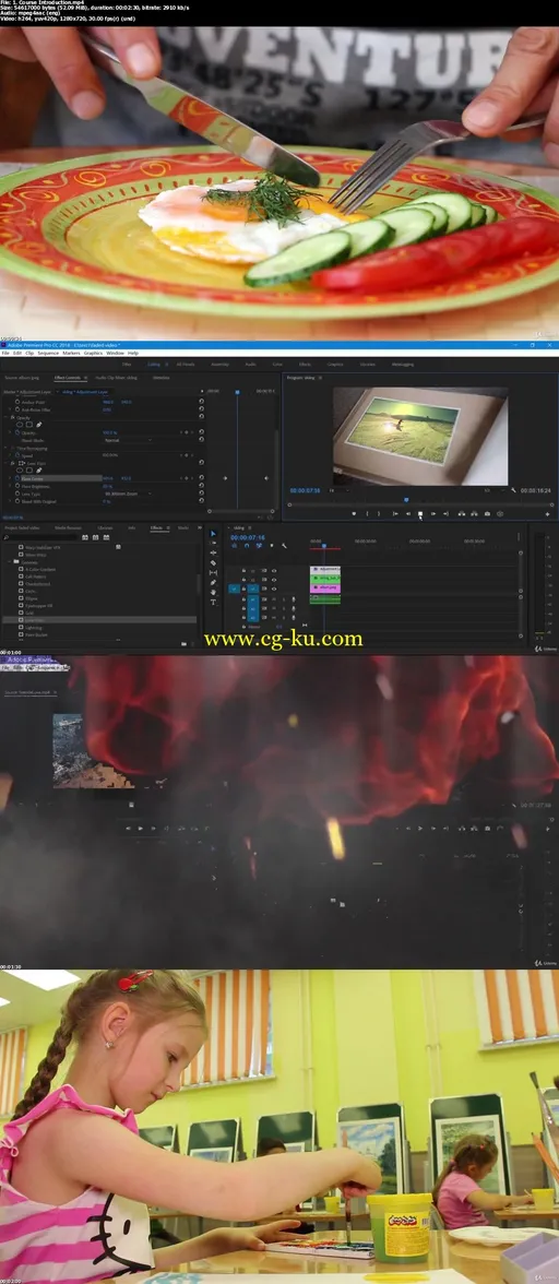 Adobe Premiere Pro CC: Guide you to Enjoy Video Editing的图片1