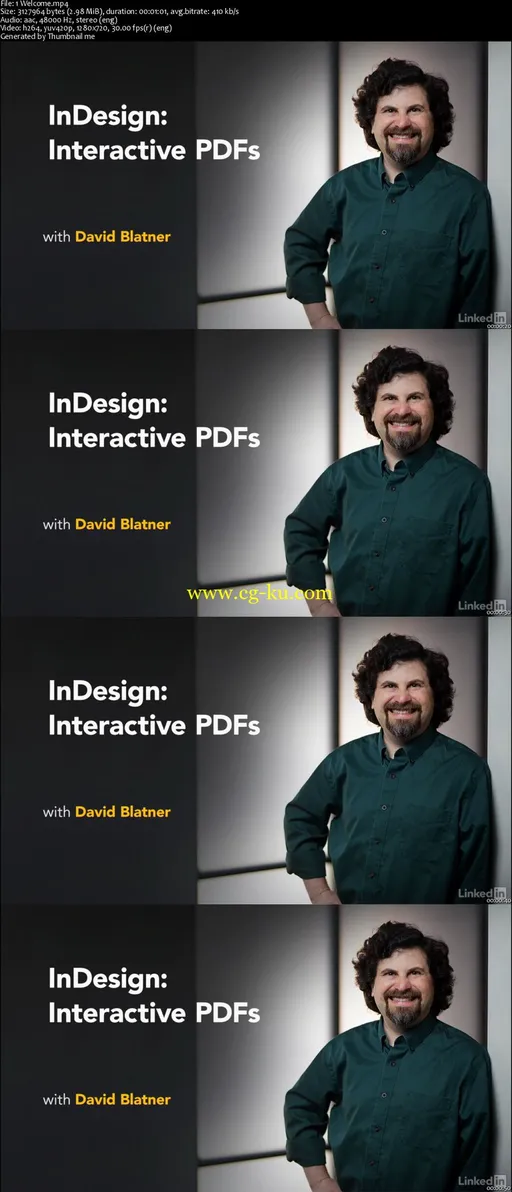 InDesign: Interactive PDFs的图片2